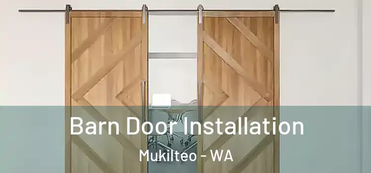  Barn Door Installation Mukilteo - WA