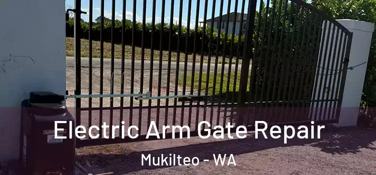  Electric Arm Gate Repair Mukilteo - WA