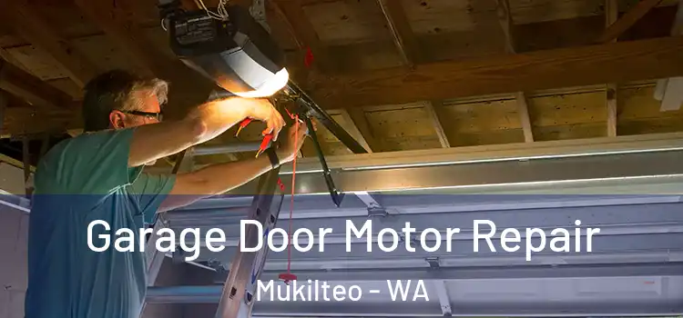  Garage Door Motor Repair Mukilteo - WA