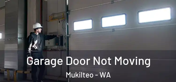  Garage Door Not Moving Mukilteo - WA