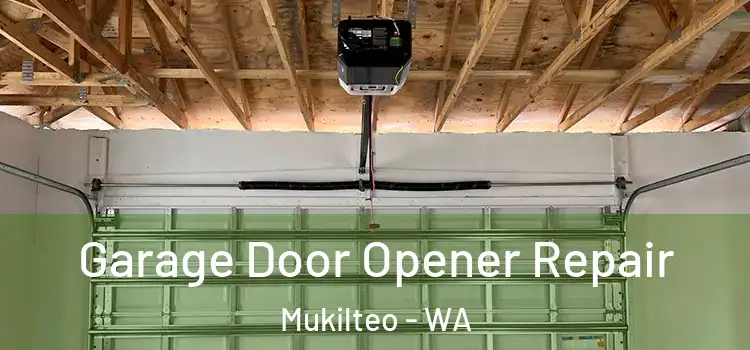  Garage Door Opener Repair Mukilteo - WA