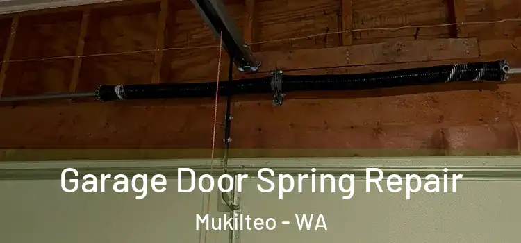  Garage Door Spring Repair Mukilteo - WA