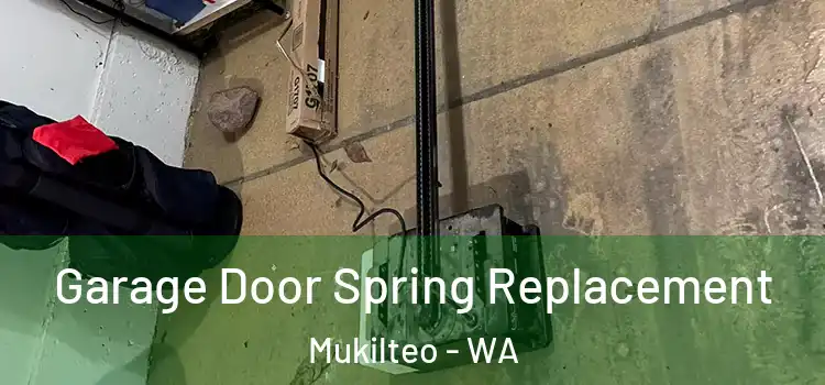  Garage Door Spring Replacement Mukilteo - WA