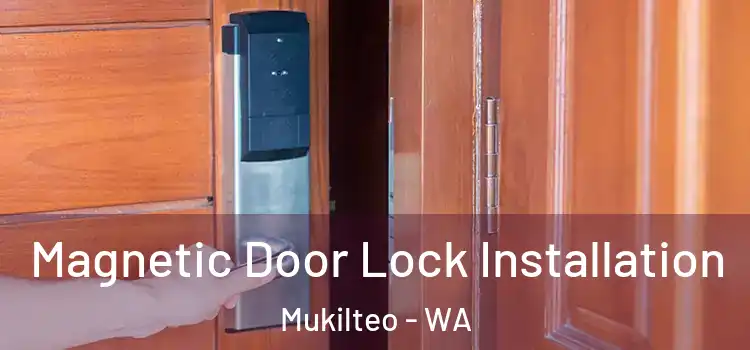  Magnetic Door Lock Installation Mukilteo - WA