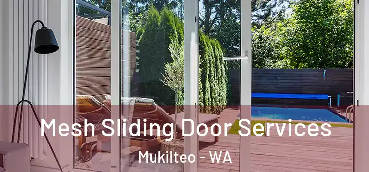  Mesh Sliding Door Services Mukilteo - WA