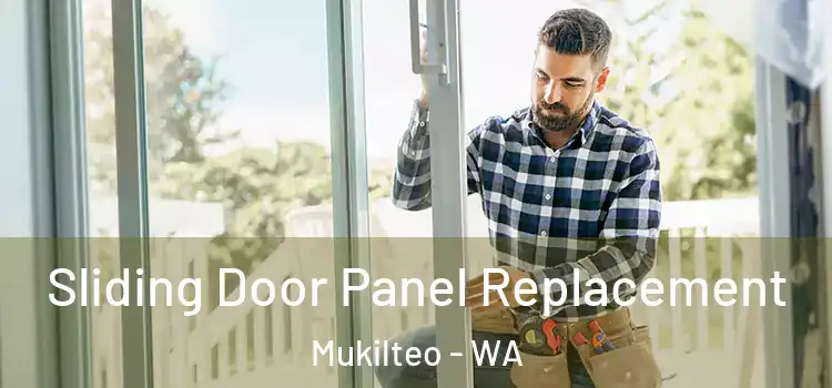  Sliding Door Panel Replacement Mukilteo - WA